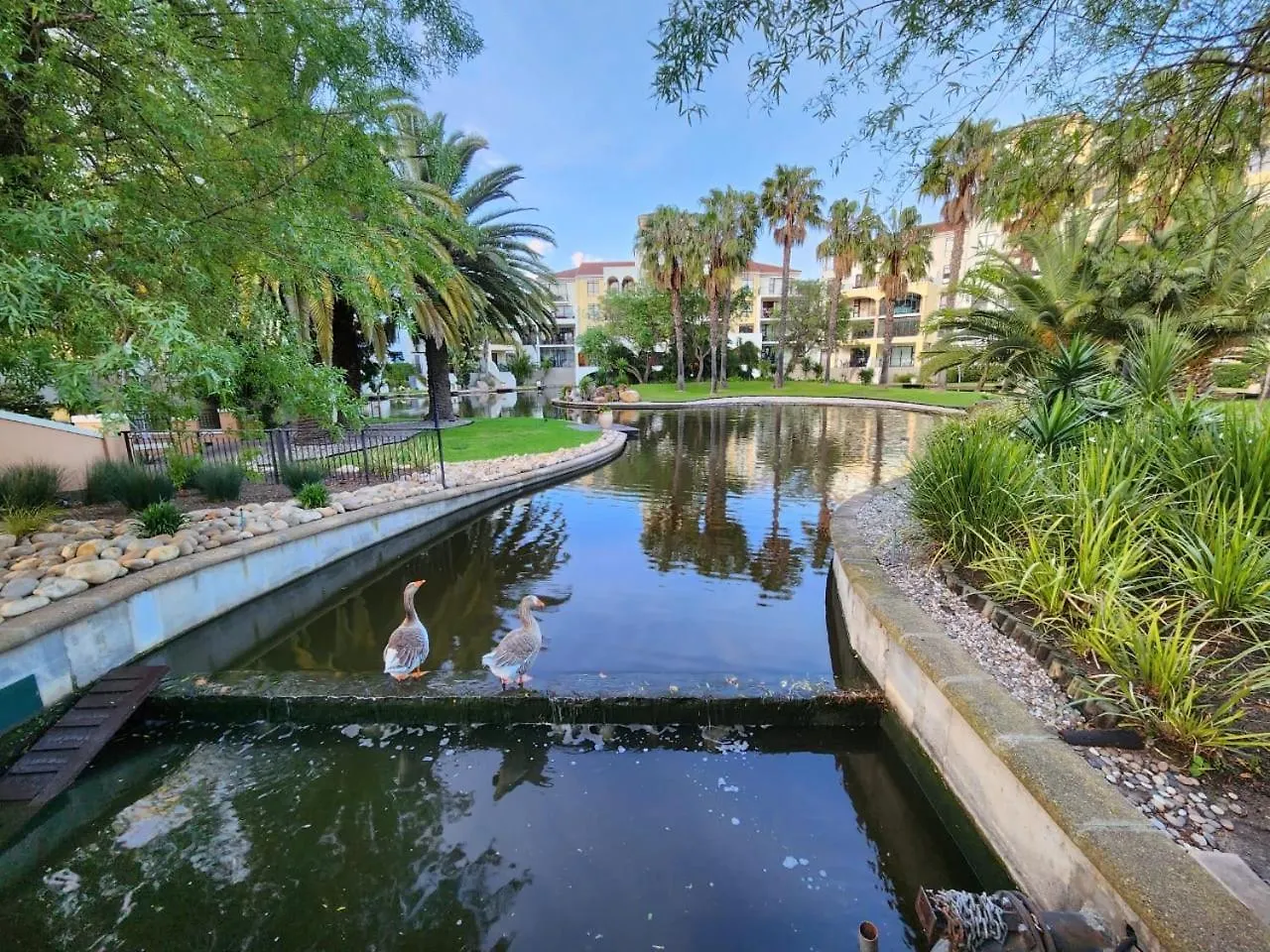 Zals -Luxury Accommodation Island Club Century City Cape Town Apartment